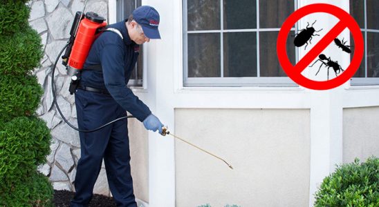 Uzunköprü Hamam Böceği İlaçlama böcek ilaçlama ve haşere kontrolü — ilaclama-tr.com